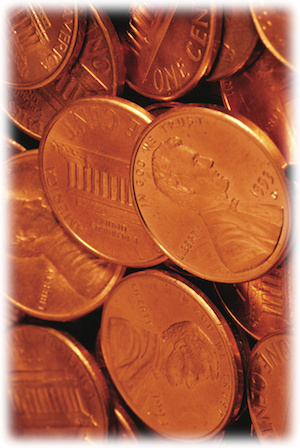 Term Share Certificates image Pennies